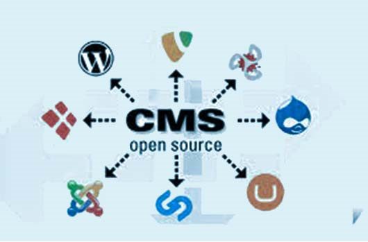What are the different types of CMS?
